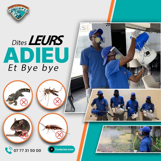 359820281_737570211711623_7885138817342006486_n