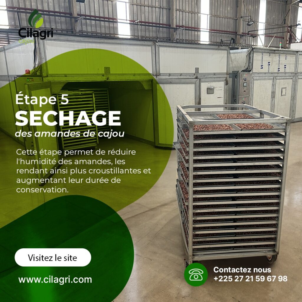 449826297_450533041075902_6614431362137407218_n